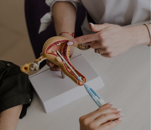 Cirurgia Geral e Ginecologia
